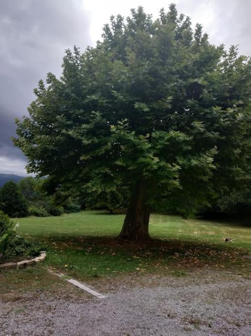 Logement Entier Dans Un Ecrin De Verdure Bidos Extérieur photo