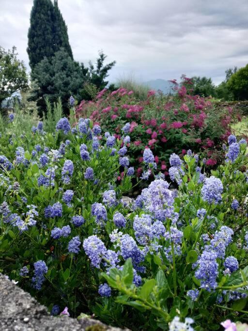 Logement Entier Dans Un Ecrin De Verdure Bidos Extérieur photo